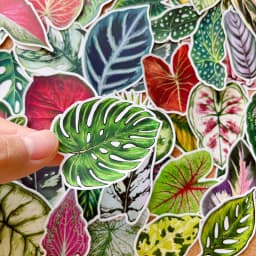 50pcs Cute Plant Leaf Handbook Sticker Material Small Fresh Handbook Stickers Children's Photo Album Growth Record Decoration