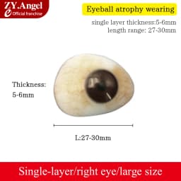 Resin Eye Prosthesis For Disabled Eyes After Removal Of Eyeball Atrophy Using Artificial Eye Prosthesis