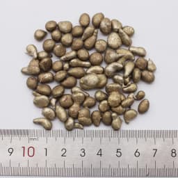 Brass Bronze Copper Grain Granules Beads Particle Metal Cu For Jewelry Casting Alloy Plating Anodes