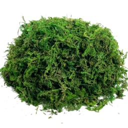 Artificial Fake Moss, Craft Moss for Potted Plant Centerpieces Decor