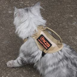 Cool Puppy Cat Tactical Harness and Leash Handheld Pet Harnesses for Cats Maine Coon Chinchilla Mascotas Adhesive Accessories