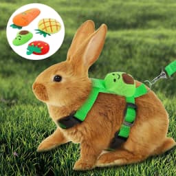 Adjustable Bunny Rabbit Harness and Leash Set Small Pet Cute Vest Harness Leash Ferret Harness Guinea Pig Harness Ferret