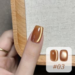 10ML 1-10PCS Winter New Style Hot Selling Black Nails Brown Nails Glass Bead Magnet Cat Eye Nail Polish Nail Set Nail Supplies