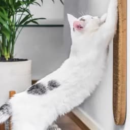 Sisal Mat Cat Scratching Board Hanging Wall Wear-resistant, Non-chipping Resistant Vertical Grinding Claw Post Cat Supplies