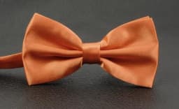 Double-layer bow tie men's business formal bow tie solid color bow tie gift