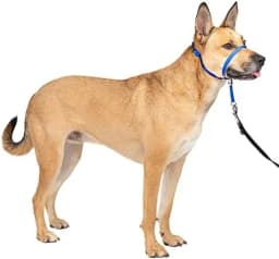 Zhenjia Hot Selling New No-pull Dog collar Adjustable Anti-barking Biting Mouth Cover Dog Mouth Collar Mouth Mask
