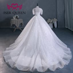 Customized hollow Back Sequin Tulle Luxury Wedding Dresses 2026 Chapel Train Short Sleeves Ivory Champagne Bride Dress WX0293