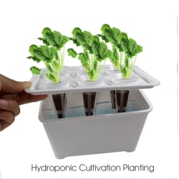 White/Black Hydroponic Grow System Hydroponic Box 6-Hole Nursery Pot for Garden Indoor Plants Vegetable Soilless Culture Planter