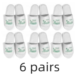 Bride & Bridesmaid, Wedding Party Guests Home Slip On Shoes Bridal Party Slippers Open-toe With Golden, Mint Green and Pink