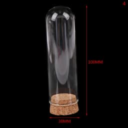 4/6/8/10CM Doll Glass Dome Display Wood Cork Bell Jar With Wooden Base Decoation Craft Table Decoation Craft
