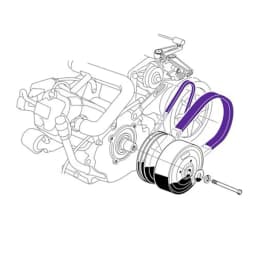 Golf Cart Starter Drive Belt 101916701 1016203 Suitable for Precedent Models 2004+ and Models Since 1997 OEM Replacement
