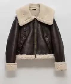 Street Fur Lined Jacket Winter Thick Zip Up Faux Fur Coat Women Short Jackets