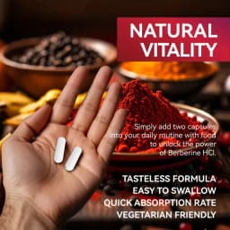 Buy 1 Get 1 Free! Premium Berberine Supplement, for Natural Blood Sugar, Liver Detox, Metabolic Health & Weight Management Aid