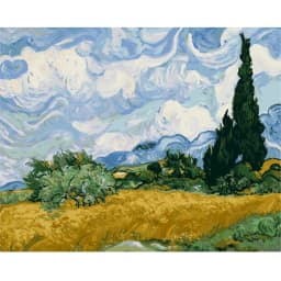 Famous Artist Van Gogh Starry Sky Iris Flower Sunrise Landscape DIY 11CT Cross Stitch Embroidery Kits Sale