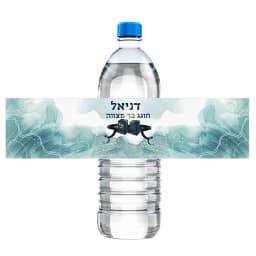 30pcs Custom Bar Mitzvah Water Bottle Labels Stickers Personalise Bat Mitzvah Tefillin Jewish Party Sticker Hebrew Any Language