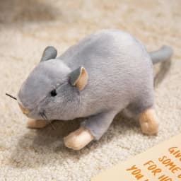 1Pc Kawaii Mini Mouse Plush Toys Stuffed Soft Animal Mouse Pillow Cute Simulation Rat Dolls for Birthday Christmas Gift