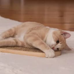 Sisal Mat Cat Scratching Board Hanging Wall Wear-resistant, Non-chipping Resistant Vertical Grinding Claw Post Cat Supplies