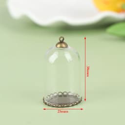 4/6/8/10CM Doll Glass Dome Display Wood Cork Bell Jar With Wooden Base Decoation Craft Table Decoation Craft
