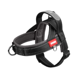 Dog Pet Chest Harness Wide Webbing Two-Color Contrasting Four Seadon Dog Harness Nylon Handle Outdoor Dog Walking Reflective