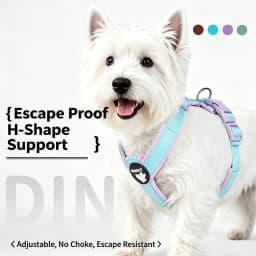Dog Harness for Small Medium Large Dogs No Pull Breathable Adjustable Pet Chest Strap Outdoor Dog Supplies Puppy Vest Harness