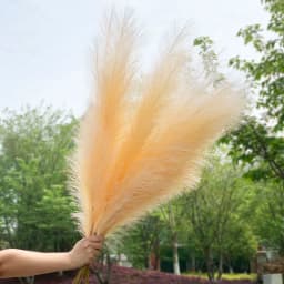 1Pcs 120cm Artificial Reed Flower Bouquet Plume Pampas Grass Dried Flowers For Home Room Decor Wedding Birthday Party Supplies