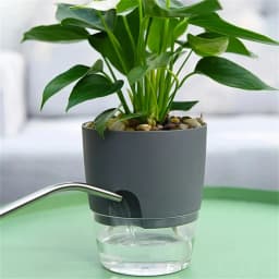 2 Layer Soilless Cultivation Flower Pot Cotton Rope Self Watering Hydroponic Plant Basin Automatic Irrigation Lazy Flowerpot 1Pc