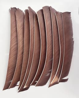 100PCS 18-25CM Full Length Turkey Arrow Feathers DIY Hunting Bow Arrow Accessories Archery Fletching Right Wing Vanes