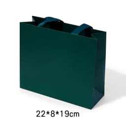 Oirlv 10Pcs Green Gift Bags Ribbon Handle Customizable Jewelry Shopping Bag Reusable Gift Packaging Bags Paper Gift Bags Packing