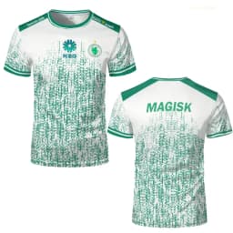 Team Falcons 2025 Training Uniforms CS2 Esports NIKO M0NESY Kyousuke Jersey T-shirts Men's O Neck Tees Gifts Clothes
