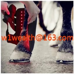 LED Red Light Near Infrared Light Pet Horse LightTherapy Led Lamp Horse Red Light Therapy Pad Machine Black for Horse
