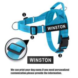 Personalized No Pull Dog Harness with Name Patch Escape-Proof Adjustable Reflective Soft Padded Dog Vest for Training Walking