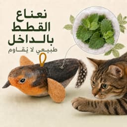 Interactive Hanging Cat Toy Bird Teaser with Elastic Rope Sound Catnip Indoor Wall-Mounted Toy for Cats Kittens Chasing Play