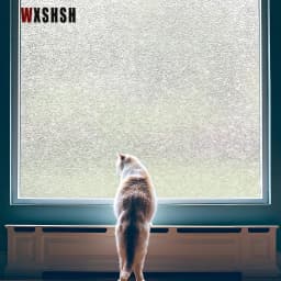 Rain Window Film Static Cling Retro Glass Design Vinyl UV-Proof Embossing Privacy Protection Reusable Removable Glass Sticker
