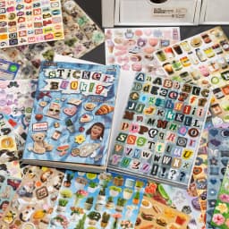 Journal GO 30pages Multi-Style Cute Sticker Book Perforated Glossy Coated Paper Decorative Sticker Pad for Journaling Scrapbook