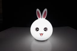 LED Night Light Cute Sheep Panda Rabbit Silicone Lamp Rechargeable Animal Shape Sleep Soft Nightlights For Kids Birthday Gift