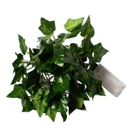 200cM20LED Green Leaf Fake Plants String Light Battery Powered Waterproof Fairy String Light for Wall House ChristmasDecorations