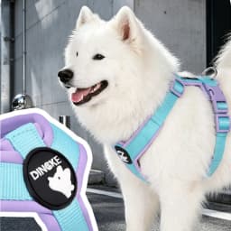 Dog Harness for Small Medium Large Dogs No Pull Breathable Adjustable Pet Chest Strap Outdoor Dog Supplies Puppy Vest Harness