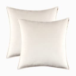 2pcs Set Velvet Throw Pillow Cover Decorative Cushion Case for Sofa Bedroom 30x50cm/45x45/50x50/60x60cm Modern Gift Pillowcase