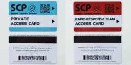 High Quantity Text Clear Letters Printed PVC SCP Hard Card Patches,top Hardboard,hardcard 8.5*5.5CM WF23461