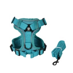 Breathable Dog Harness Vest Leash Set for Small Medium Pets Cats Reflective Adjustable Puppy Outdoor Chihuahua Bulldog Supplies
