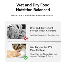 ROJECO Multifunctional Wireless Automatic Cat Feeder 4 Meals Wet Dry Food Dispenser Smart Timed Pet Feeder For Cat Dog Supplies