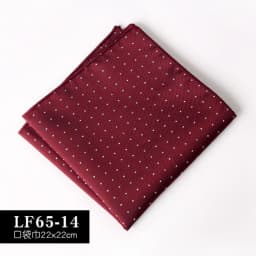22CM Classic Men Polyester Pocket Square Dot Paisley Floral Handkerchief Business Hanky Wedding Party Chest Tie Suit Accessories