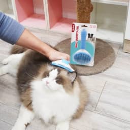 Bioline Pet Dog Brush Cat Comb Self Cleaning Pet Hair Remover Brush For Dogs Cats Grooming Tools Pets Dematting Comb Dogs Supply