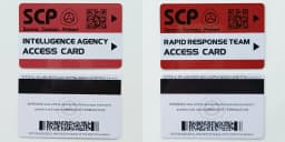 High Quantity Text Clear Letters Printed PVC SCP Hard Card Patches,top Hardboard,hardcard 8.5*5.5CM WF23461