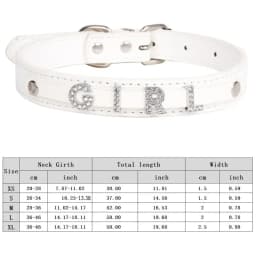 Custom Cat Dog Collar Personalized Rhinestone Puppy Collars Adjustable Letter Crown Charm Name Dog Necklace Chihuahua Id Collar