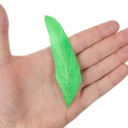 10pcs Natural Rooster Feathers Wedding Crafts DIY Colorful Feather Handwork Party Plume Carnival Headwear Decoration Accessories