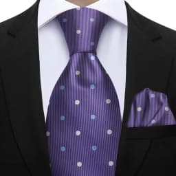 Elegant Ties For Men Gift Fashion Men Tie Set Striped Dot Luxury Necktie Handchief 2 Pcs Business Wedding Suit Accessories