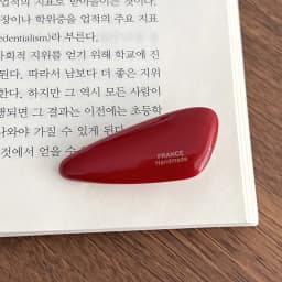 Korean FRANCE triangular duckbill clip French side bangs clip hair accessory