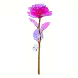 2/10pcs/Set Eternal Rose Flower LED Light Golden Foil Rose Unique Design Gift For The Wife Anniversary Mother's Day And Birthday