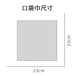 New 23CM Solid White Black Brown Pocket Square Women Casual Pink Handkerchief Groom Wedding Party Shirt Accessories Luxury Hanky